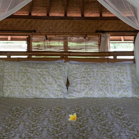 Bali Firefly Bnb Ubud Værelse billede