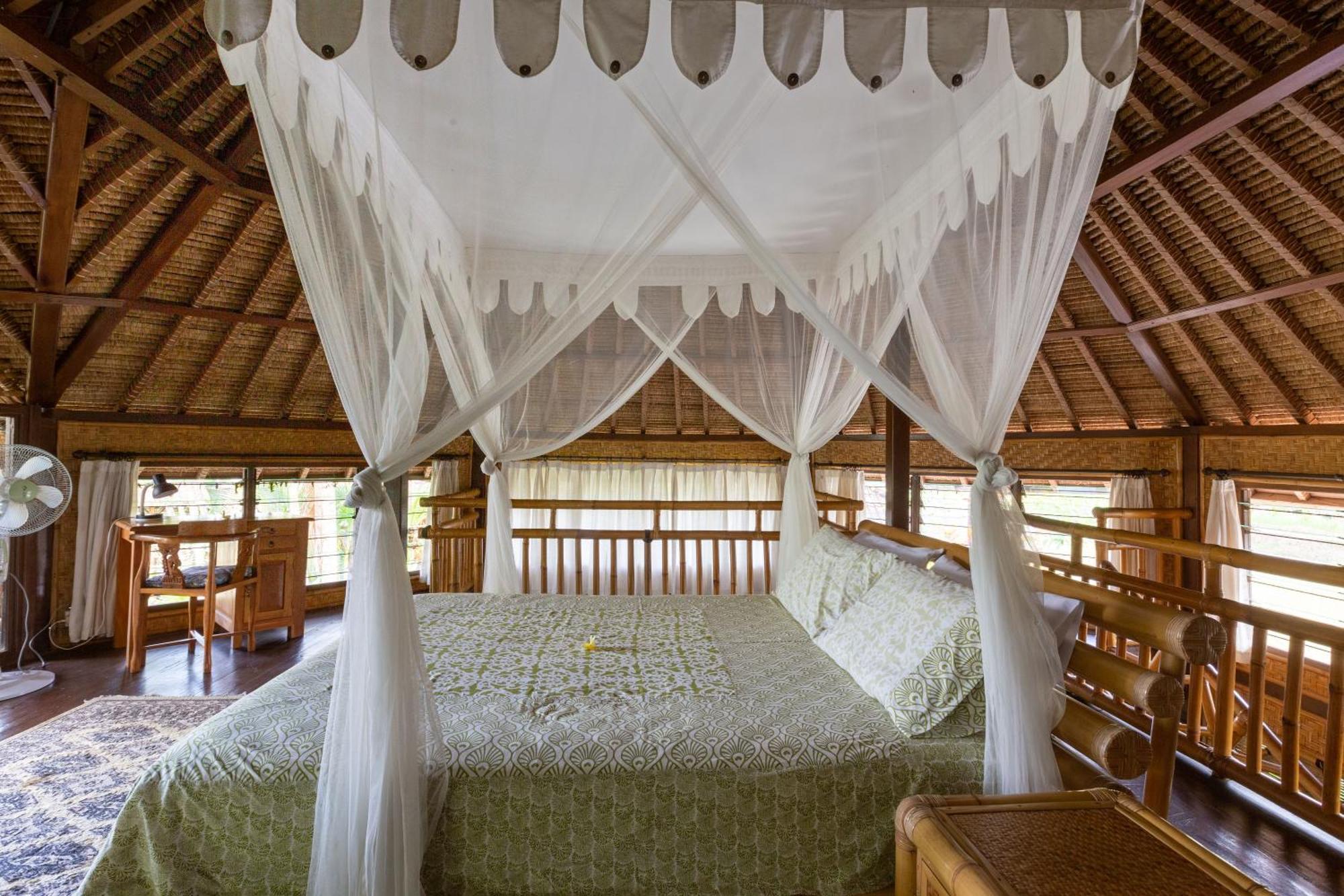 Bali Firefly Bnb Ubud Værelse billede