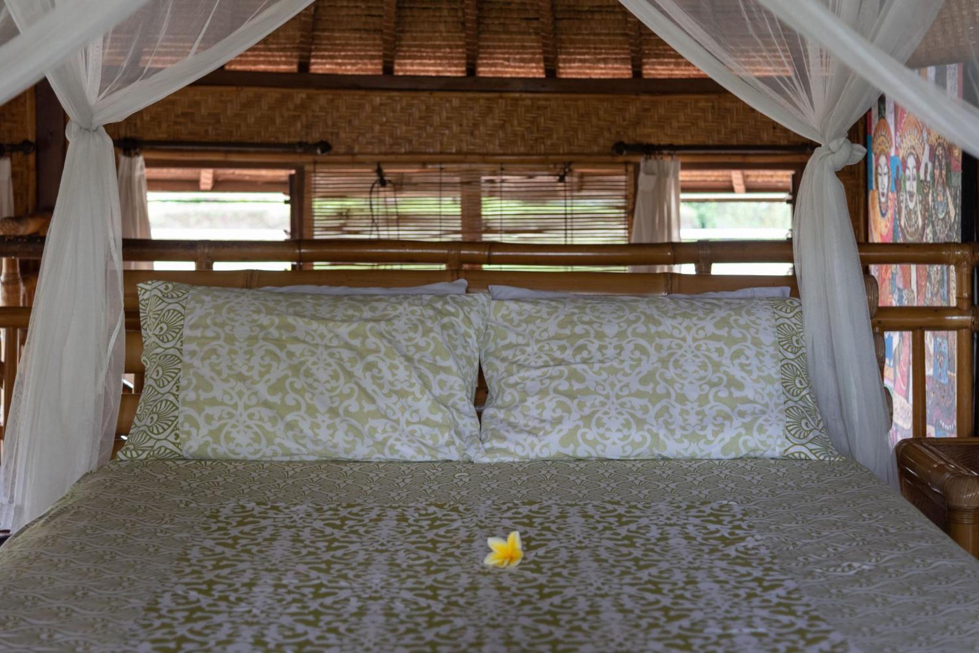 Bali Firefly Bnb Ubud Værelse billede