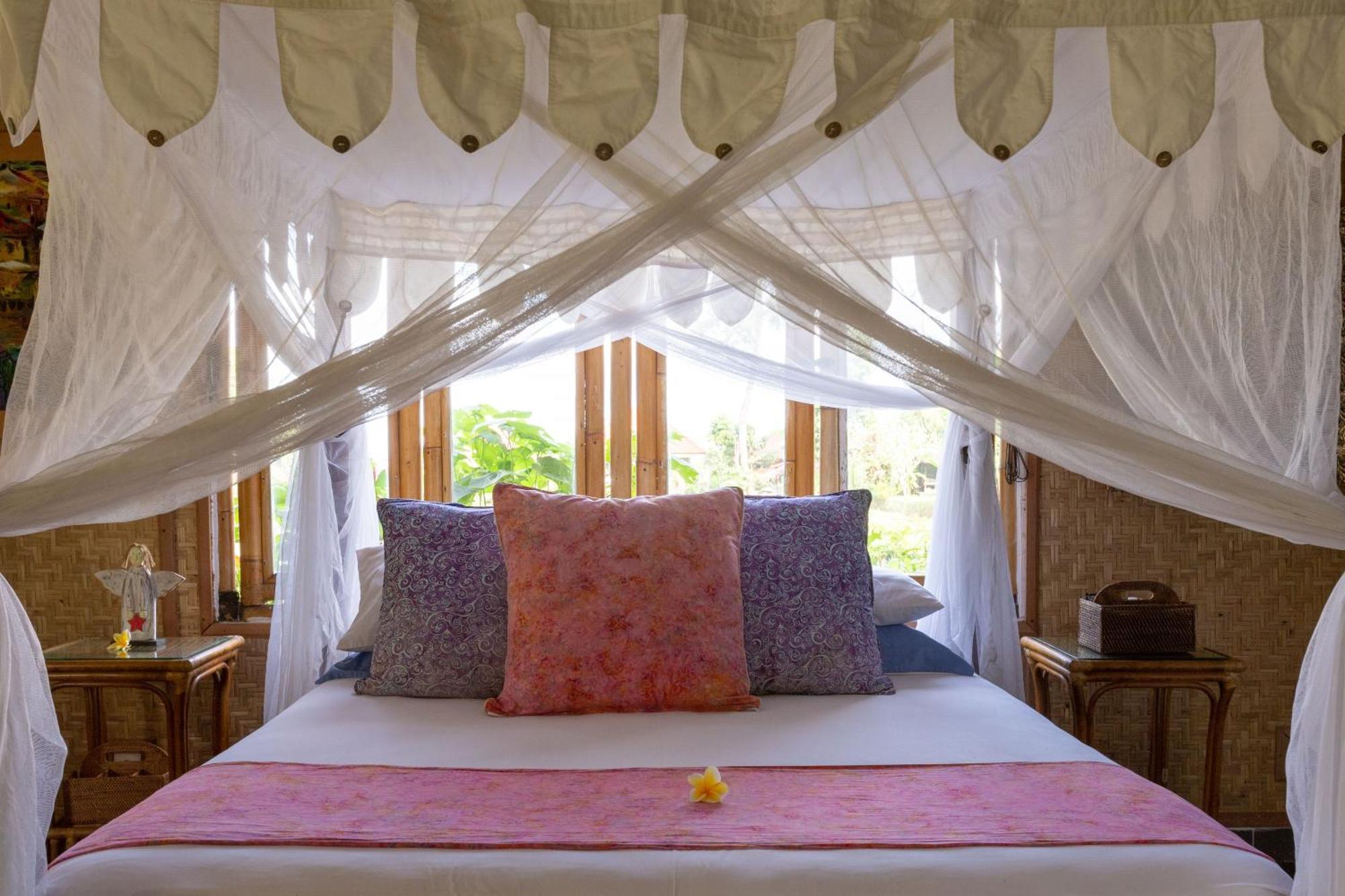 Bali Firefly Bnb Ubud Værelse billede