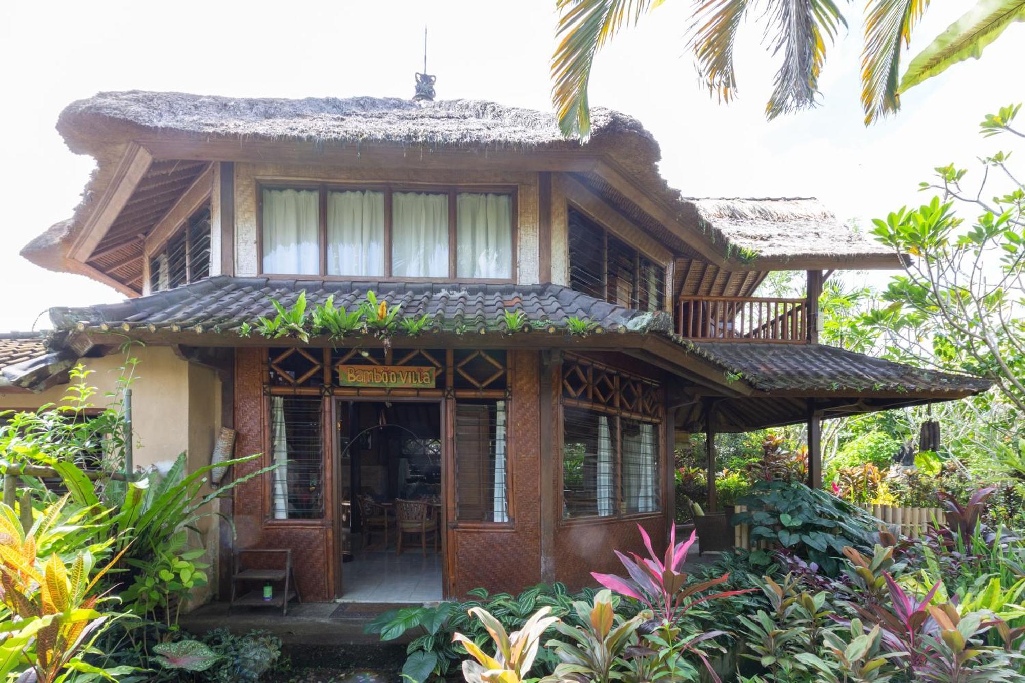 Bali Firefly Bnb Ubud Værelse billede