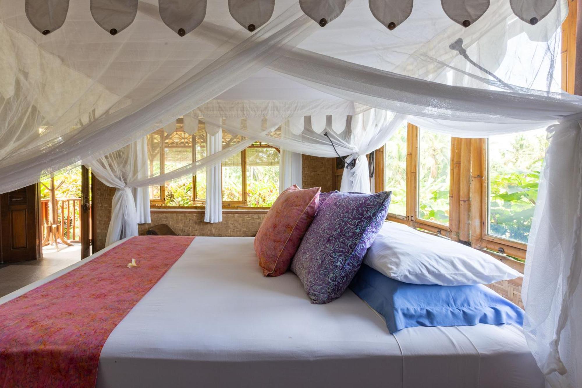 Bali Firefly Bnb Ubud Værelse billede
