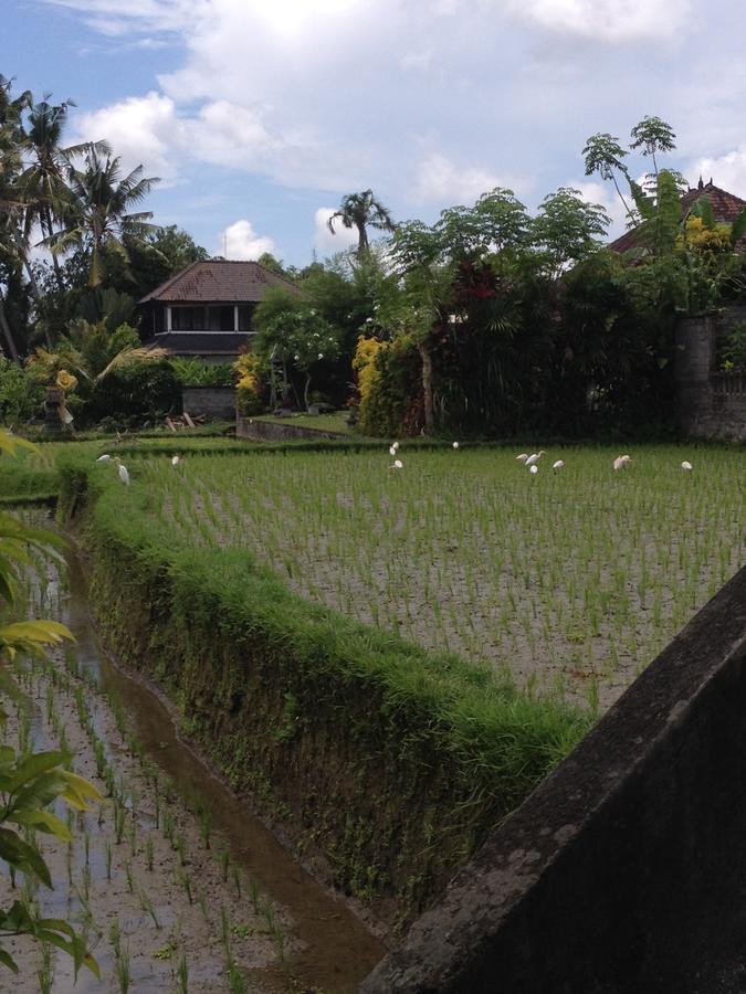 Bali Firefly Bnb Ubud Eksteriør billede